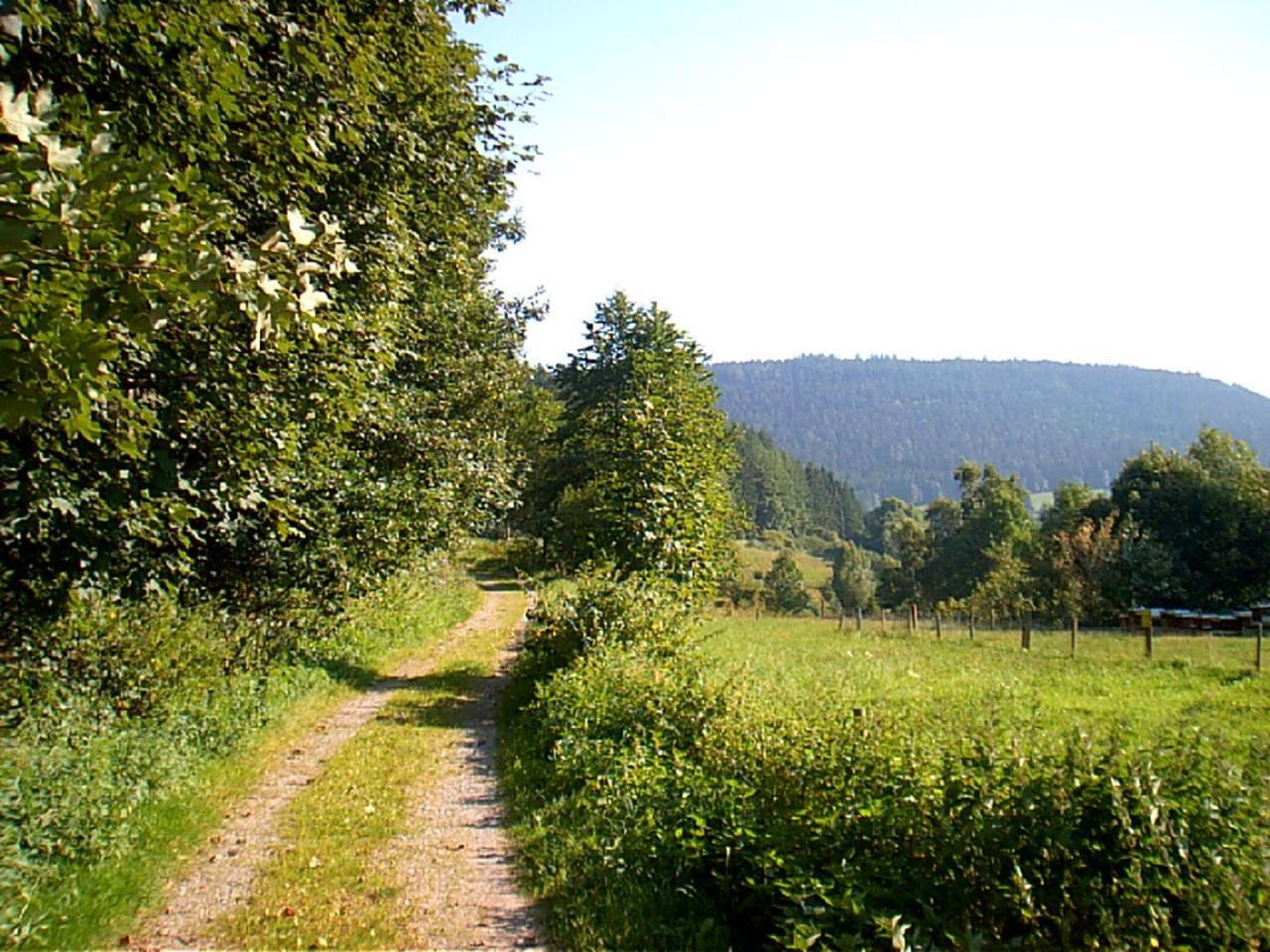 Gasthof Erlenhof Alpirsbach Eksteriør billede
